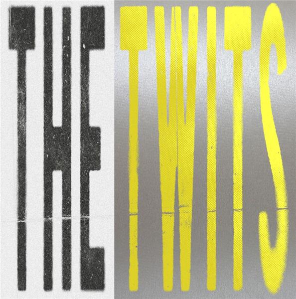 THE TWITS - Front Cover