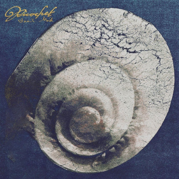 Ricochet - Front Cover