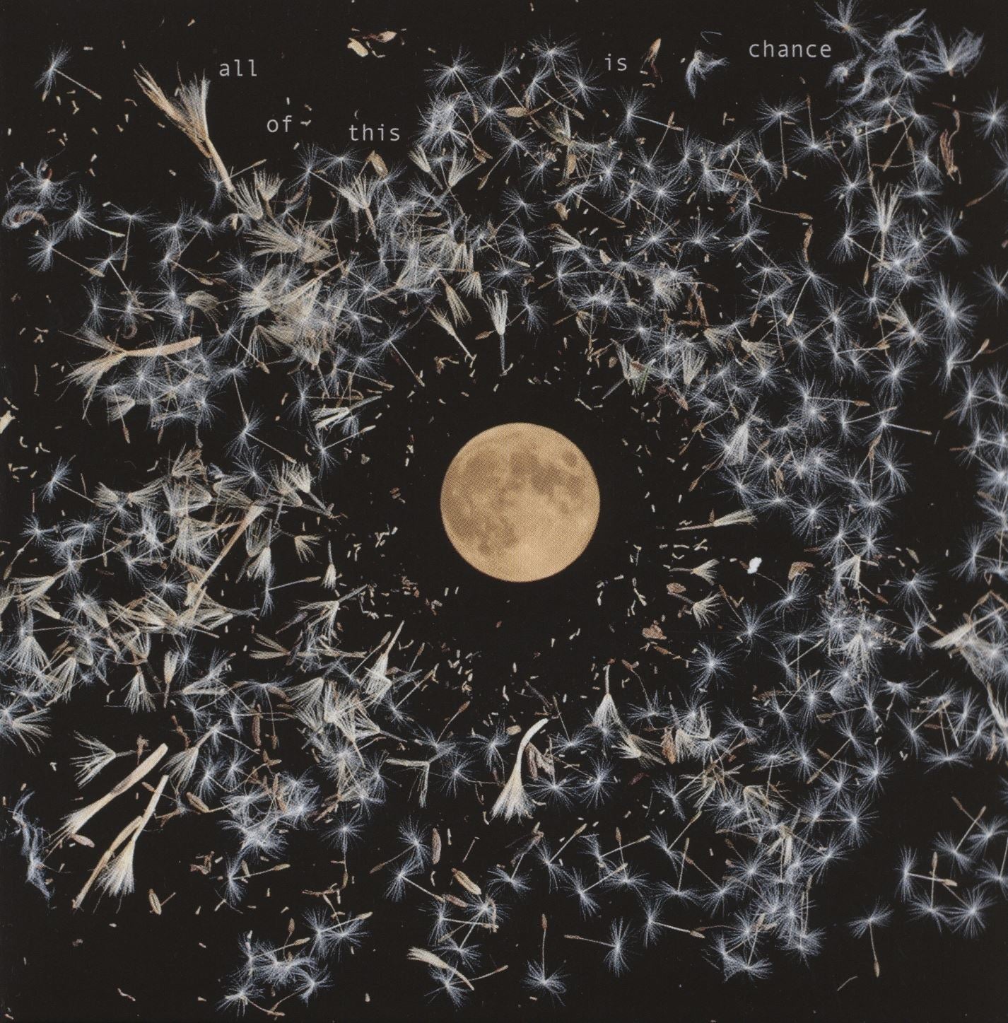 ALL OF THIS IS CHANCE - Front Cover