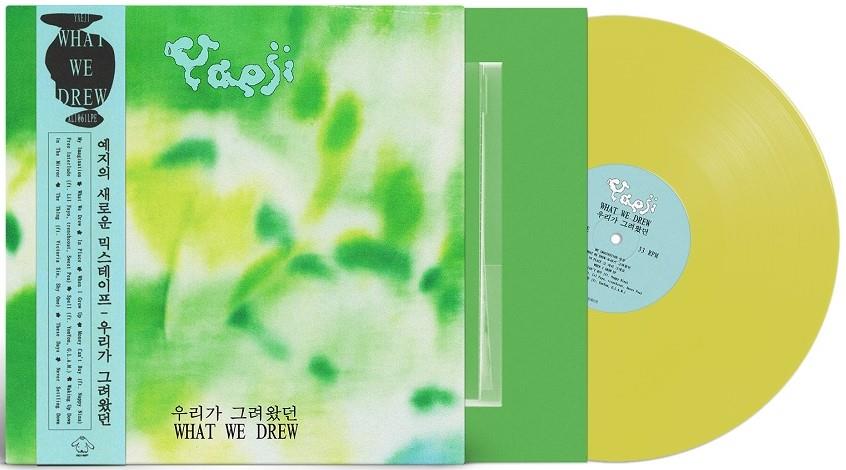 WHAT WE DREW - Front Cover