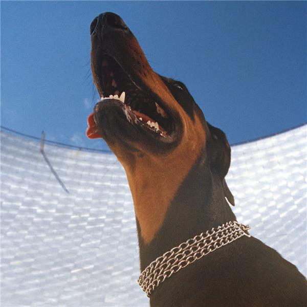 GOOD LIES - Front Cover