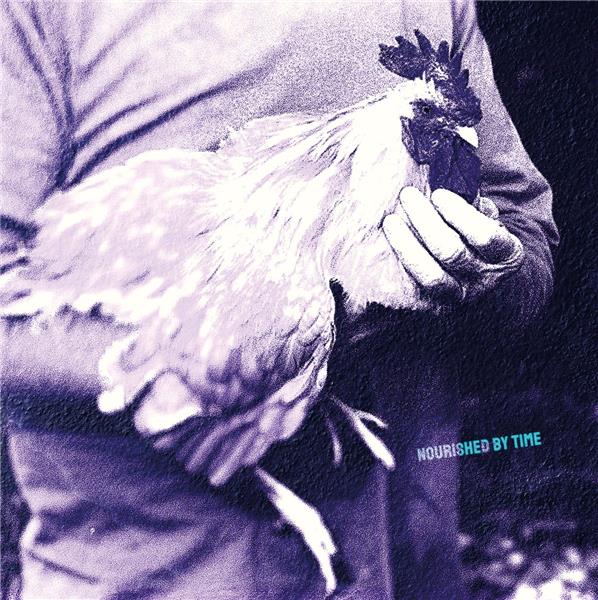 CATCHING CHICKENS EP - Front Cover