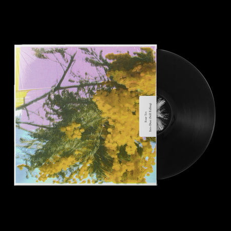 INTO DUST (STILL FALLING) - VINYLE MAXI 45T - Front Cover