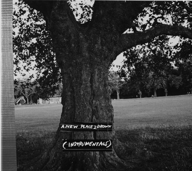 A NEW PLACE 2 DROWN (INSTRUMENTALS) - Front Cover