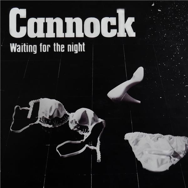 Waiting For The Night - Front Cover