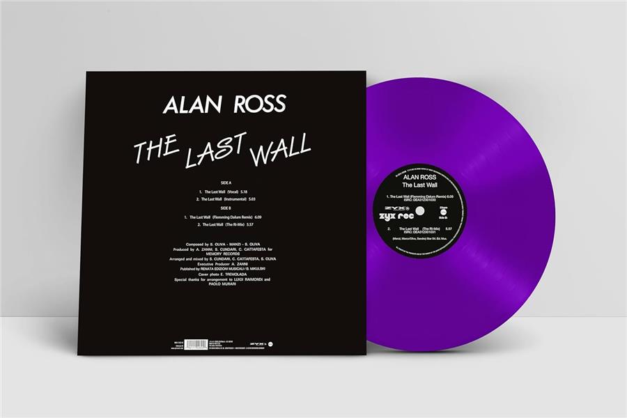 The Last Wall - Front Cover
