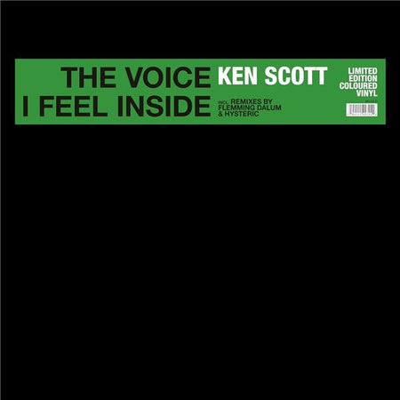 The Voice I Feel Inside - Front Cover