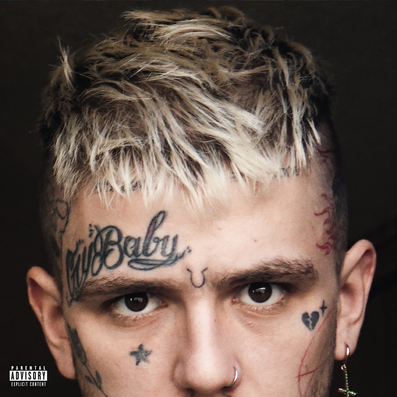 EVERYBODY'S EVERYTHING - Front Cover