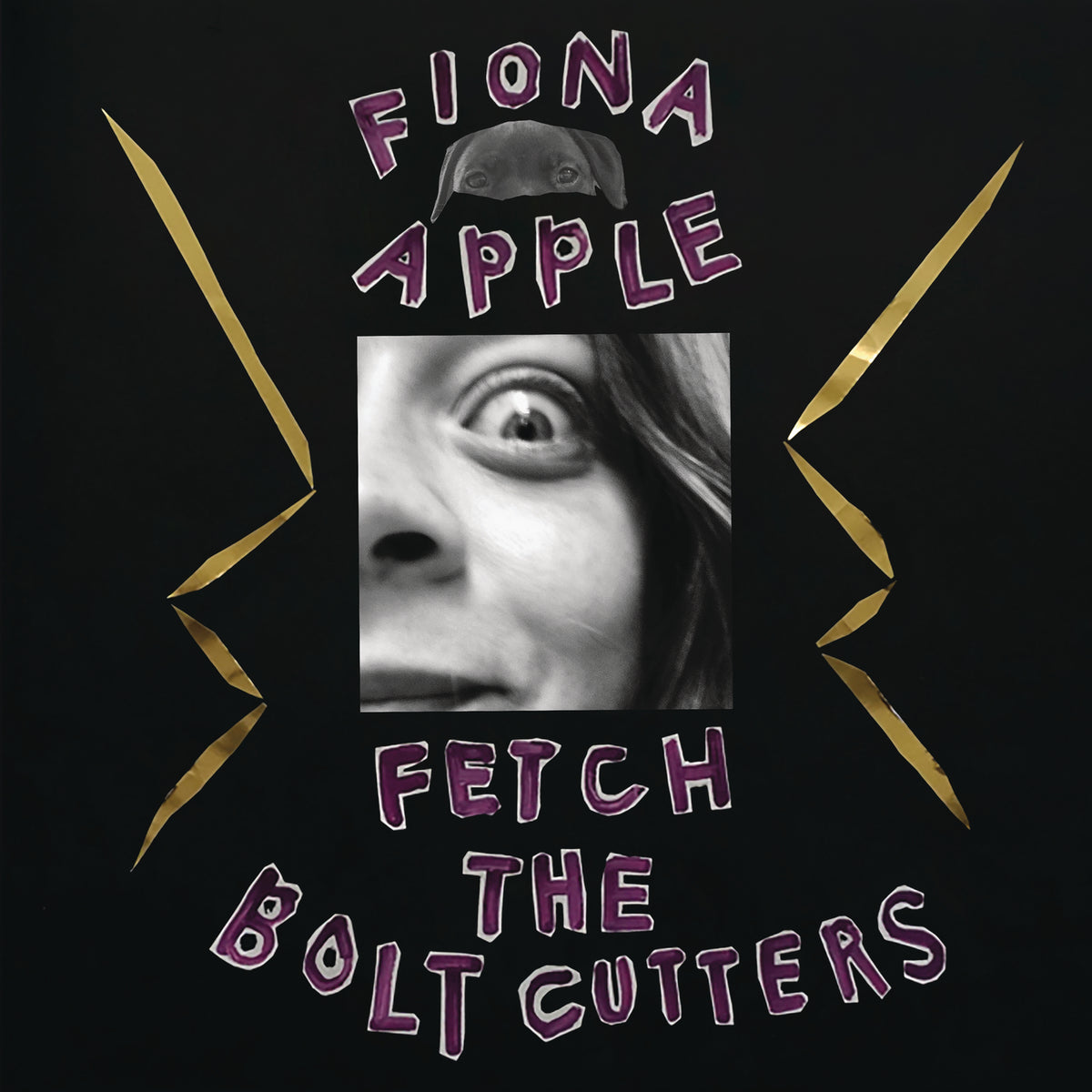 Fetch The Bolt Cutters - Front Cover