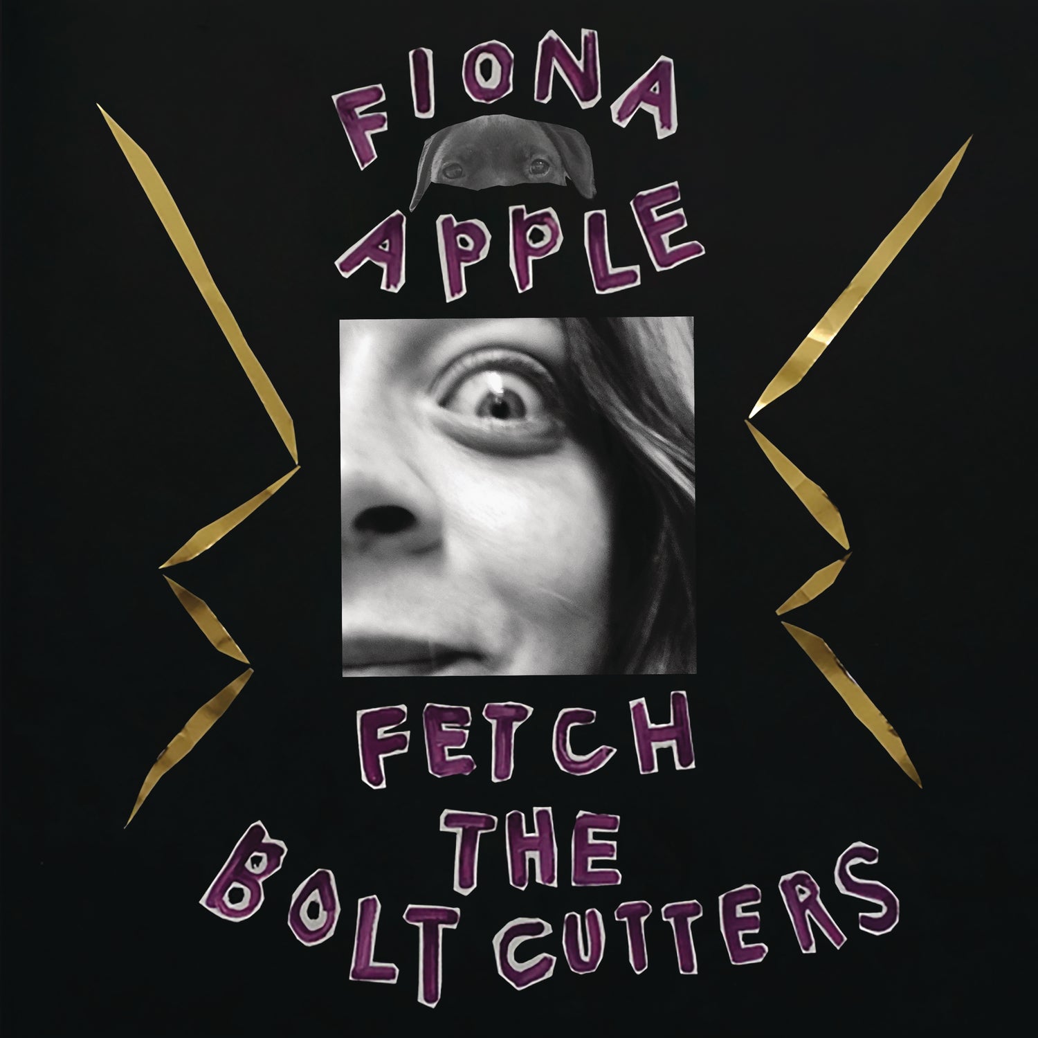 Fetch The Bolt Cutters - Front Cover