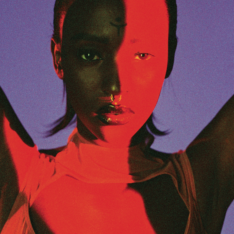 Gore - Front Cover