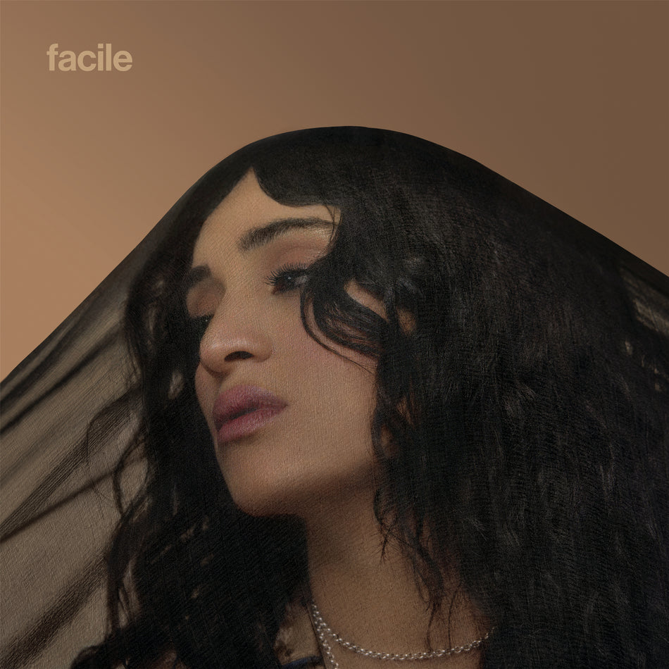 facile x fragile - Front Cover
