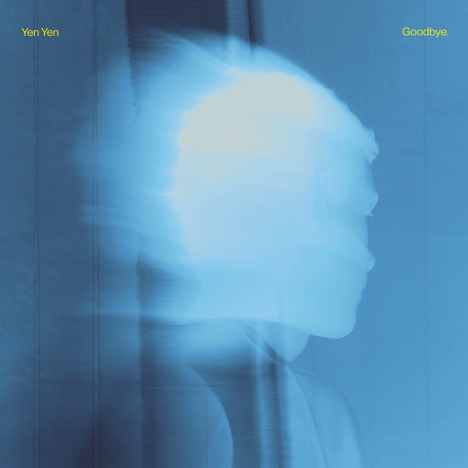 Goodbye. - Front Cover