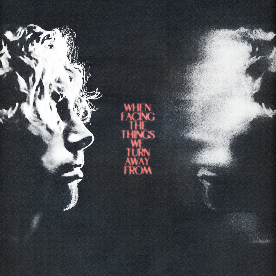 When Facing the Things We Turn Away From - Front Cover