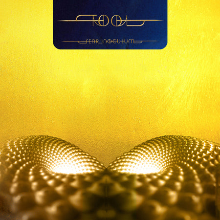 Fear Inoculum - Front Cover