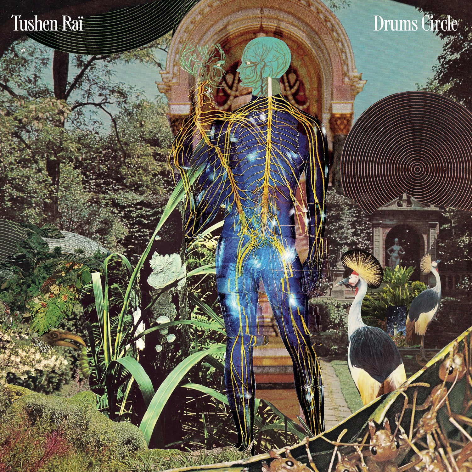 Drums Circle - Front Cover