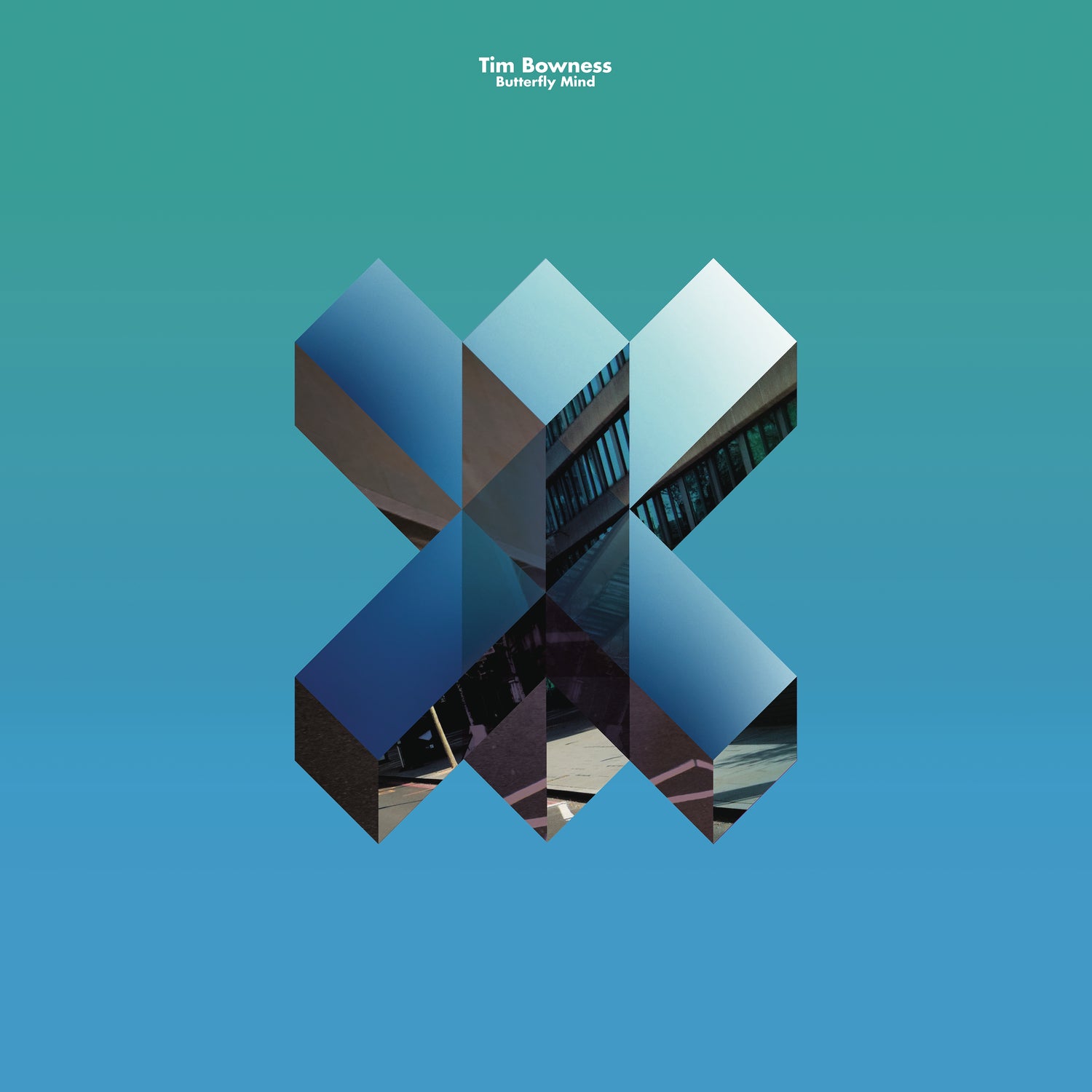 Butterfly Mind - Front Cover