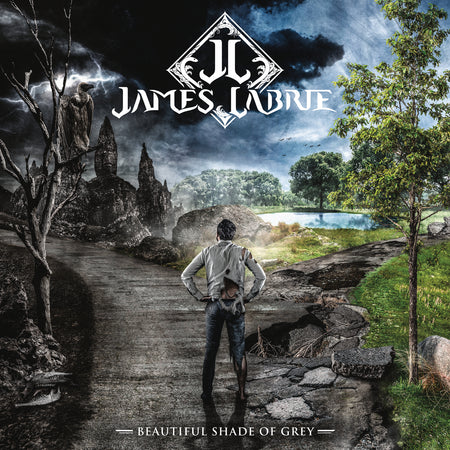 Beautiful Shade Of Grey - Front Cover