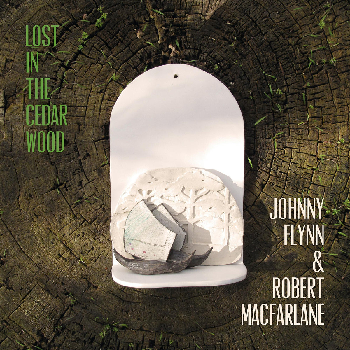 Lost In The Cedar Wood - Front Cover