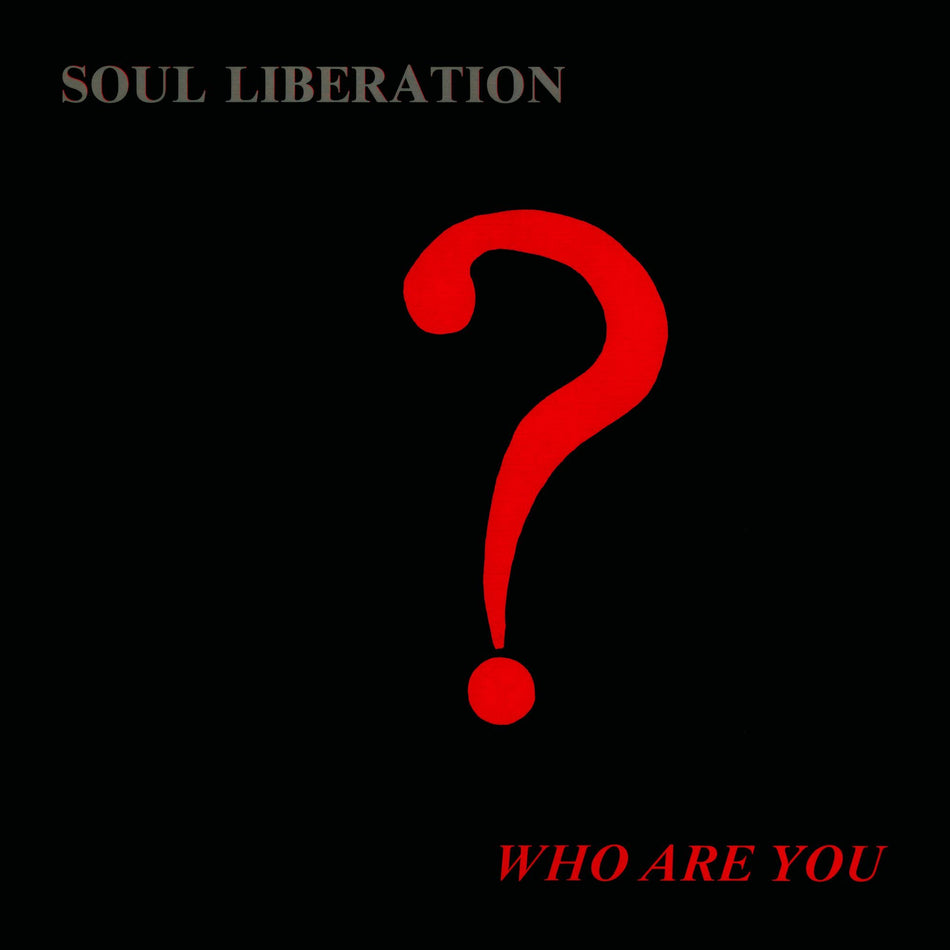 Who Are You? - Front Cover