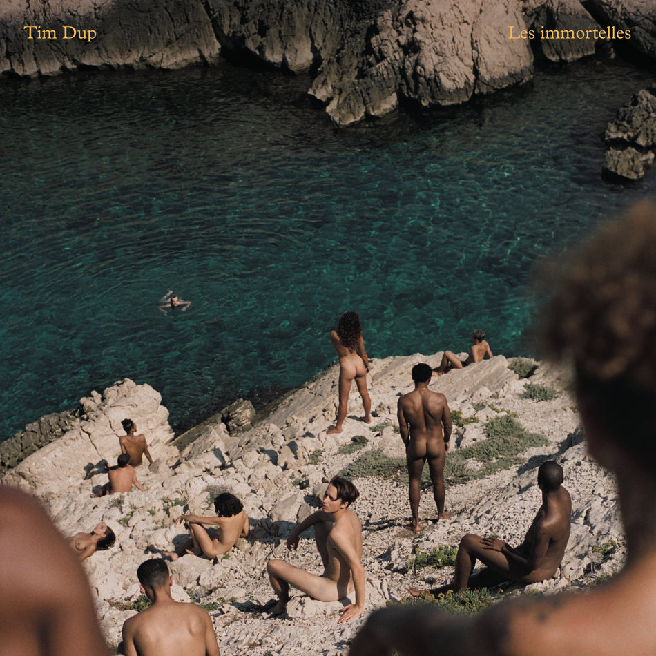 Les immortelles - Front Cover