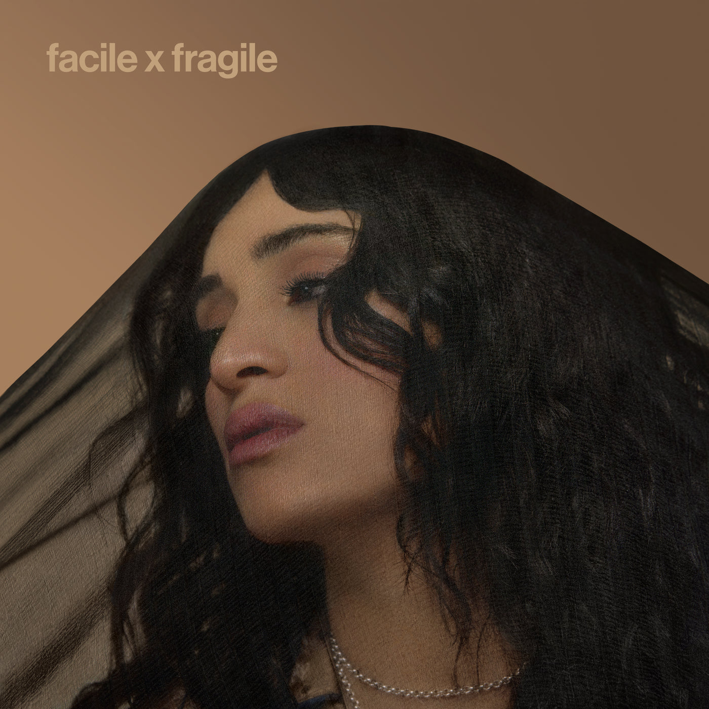 facile x fragile + - Front Cover