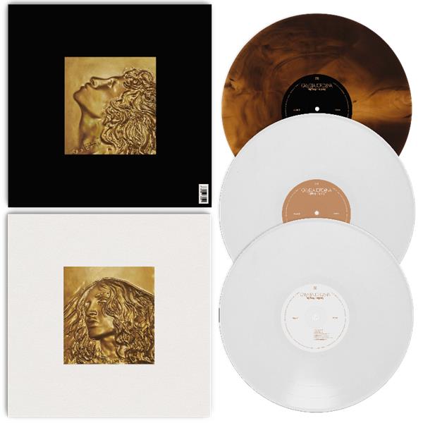 facile x fragile + - Front Cover