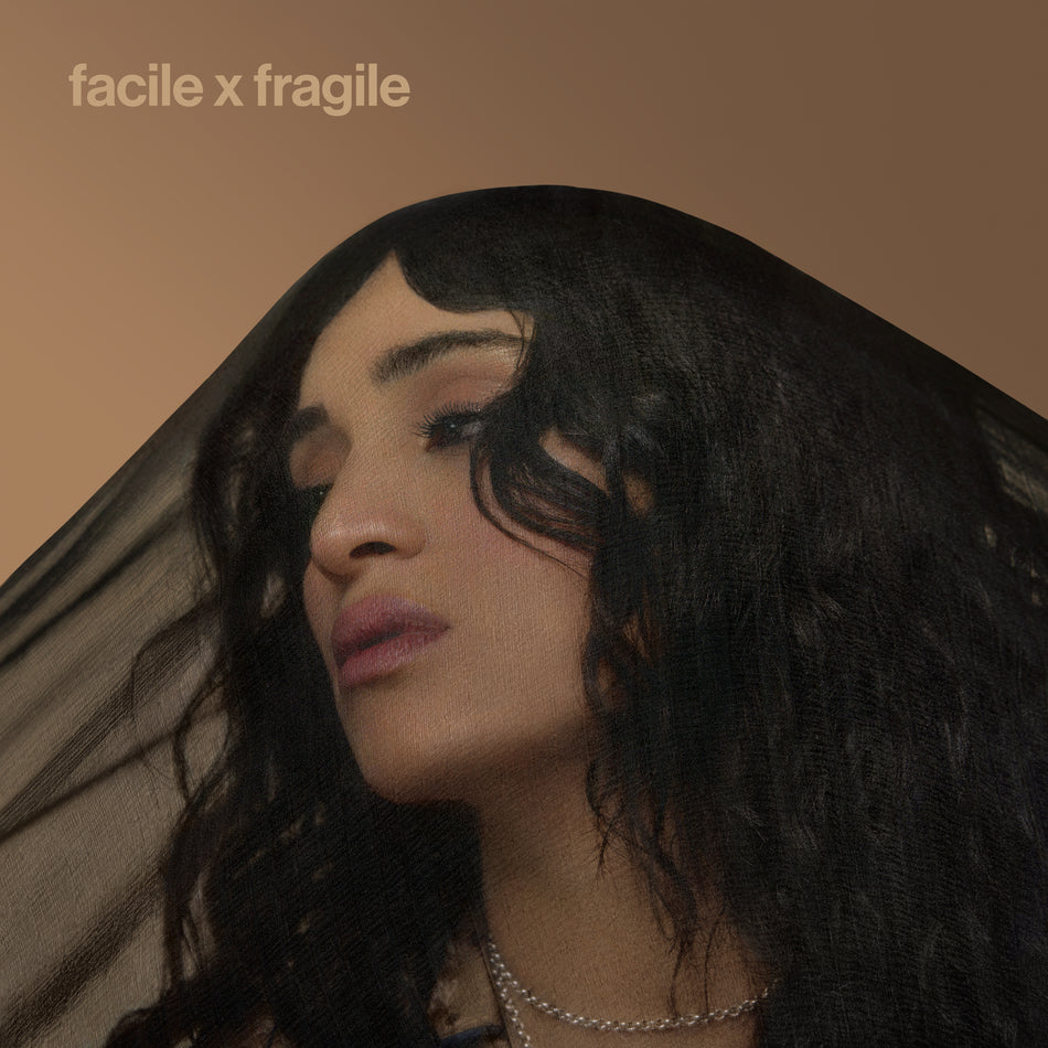 facile x fragile + - Front Cover
