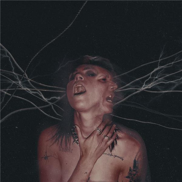 A Call To The Void - Front Cover