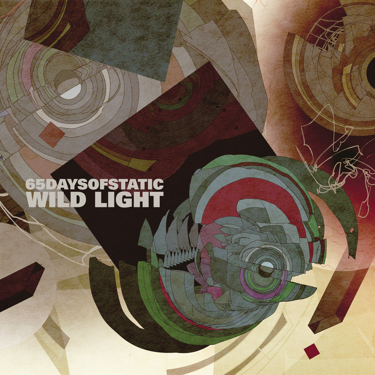 Wild Light (Re-issue 2023) - Front Cover