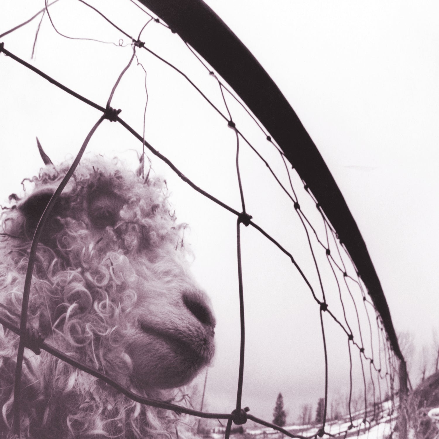 Vs. (30th Anniversary Edition) - Front Cover