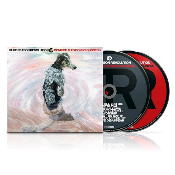 Coming Up To Consciousness - Front Cover