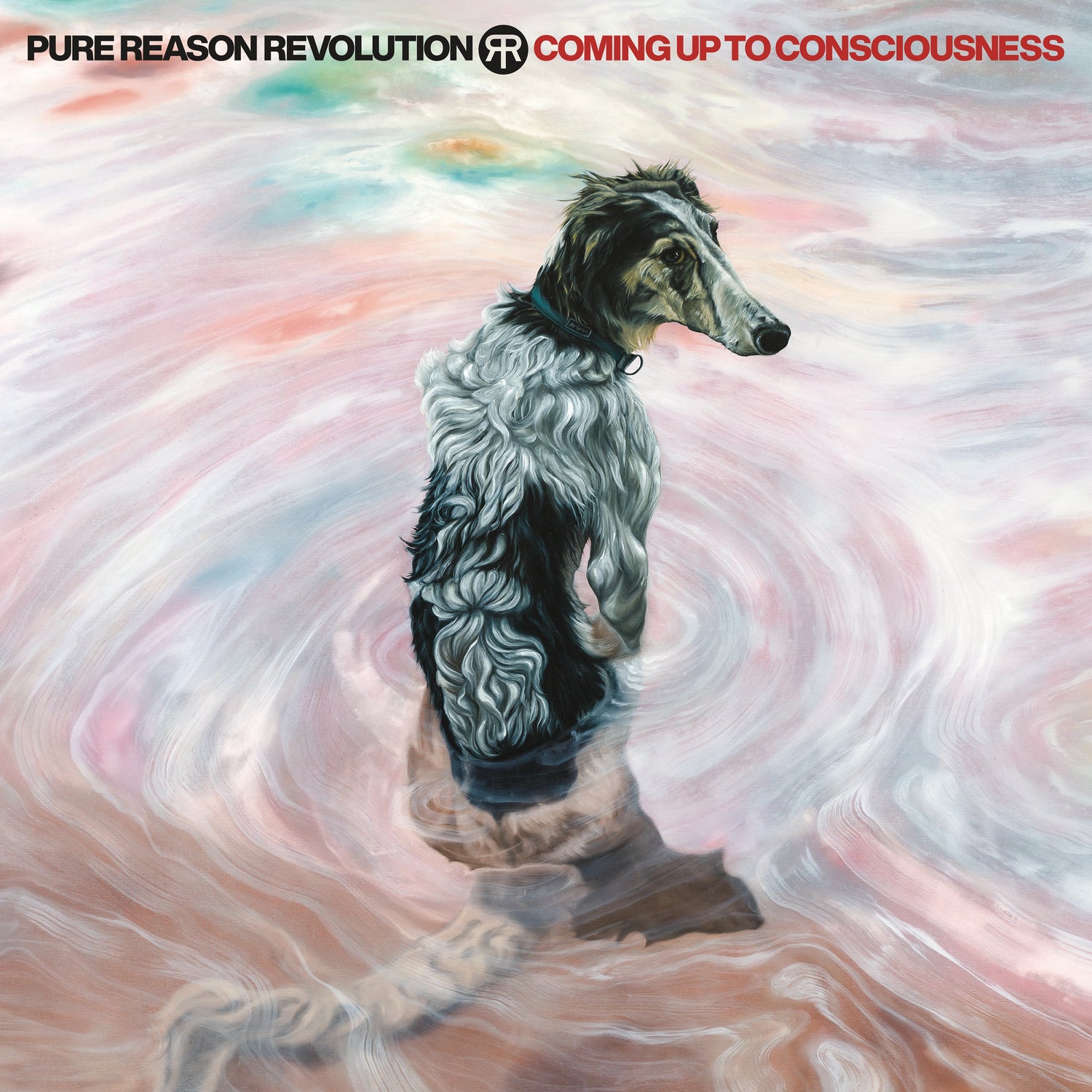 Coming Up To Consciousness - Front Cover