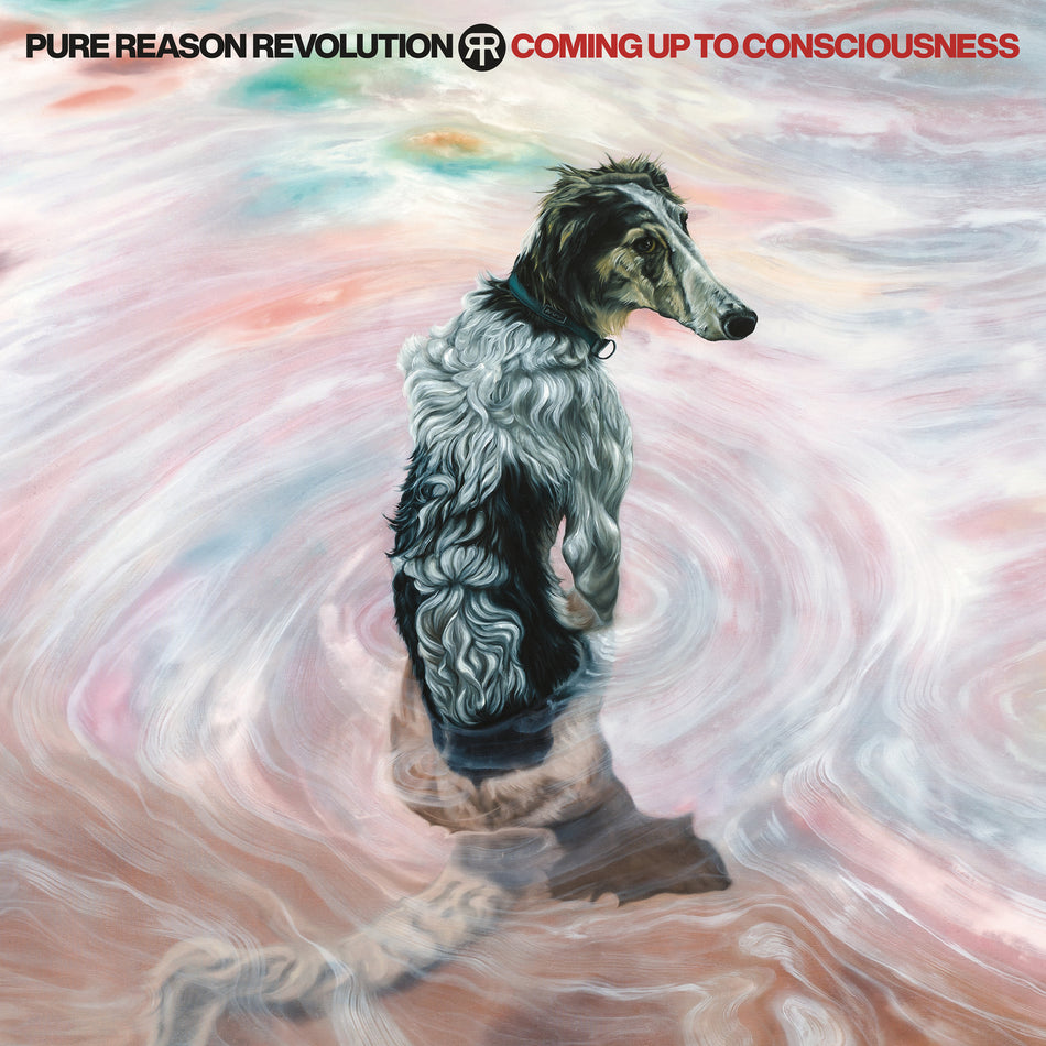 Coming Up To Consciousness - Front Cover