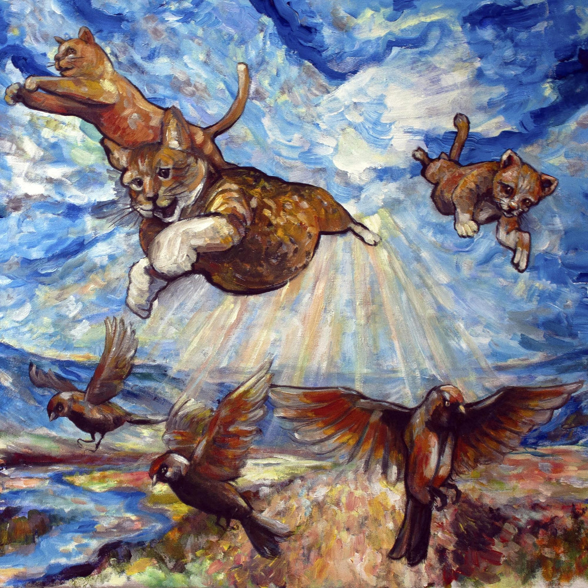 Maine Coon - Front Cover