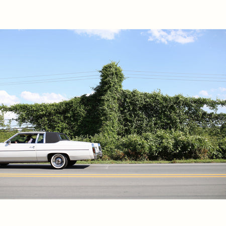 When I Go I Ghost - Front Cover