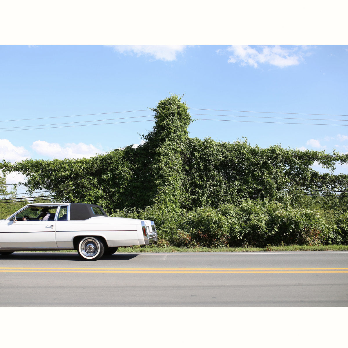 When I Go I Ghost - Front Cover