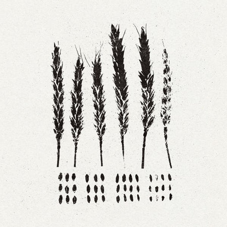 The Gleaners - Front Cover