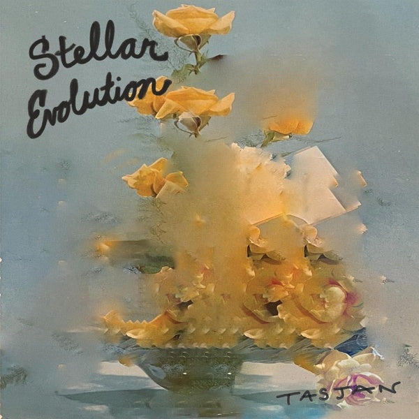 Stellar Evolution - Front Cover