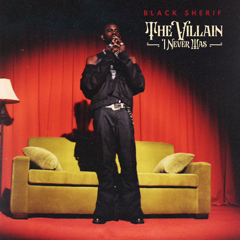 THE VILLAIN I NEVER WAS - Front Cover