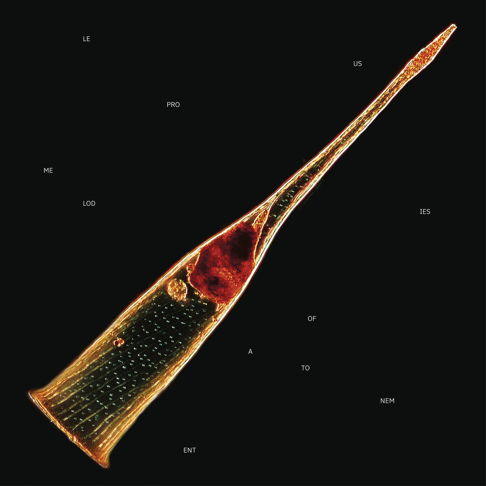 Melodies Of Atonement - Front Cover