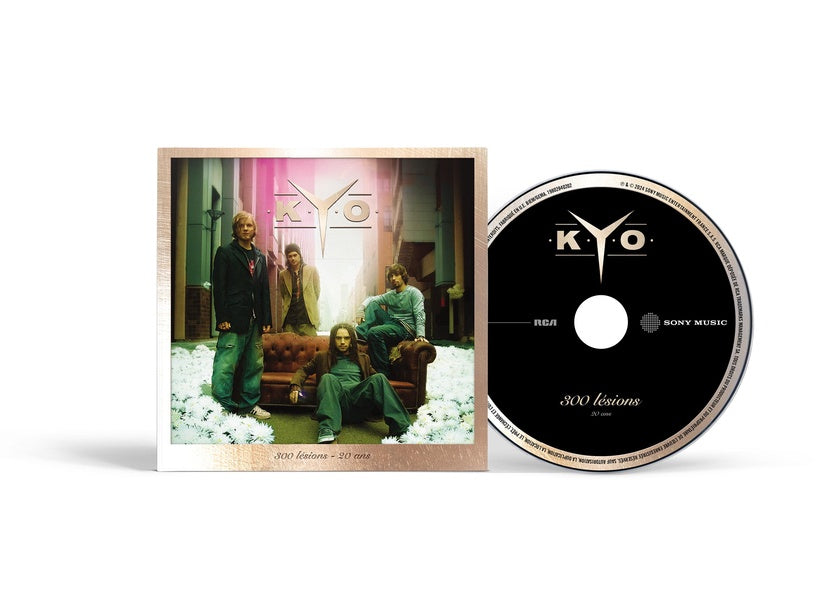 300 lésions - 20 ans - Front Cover