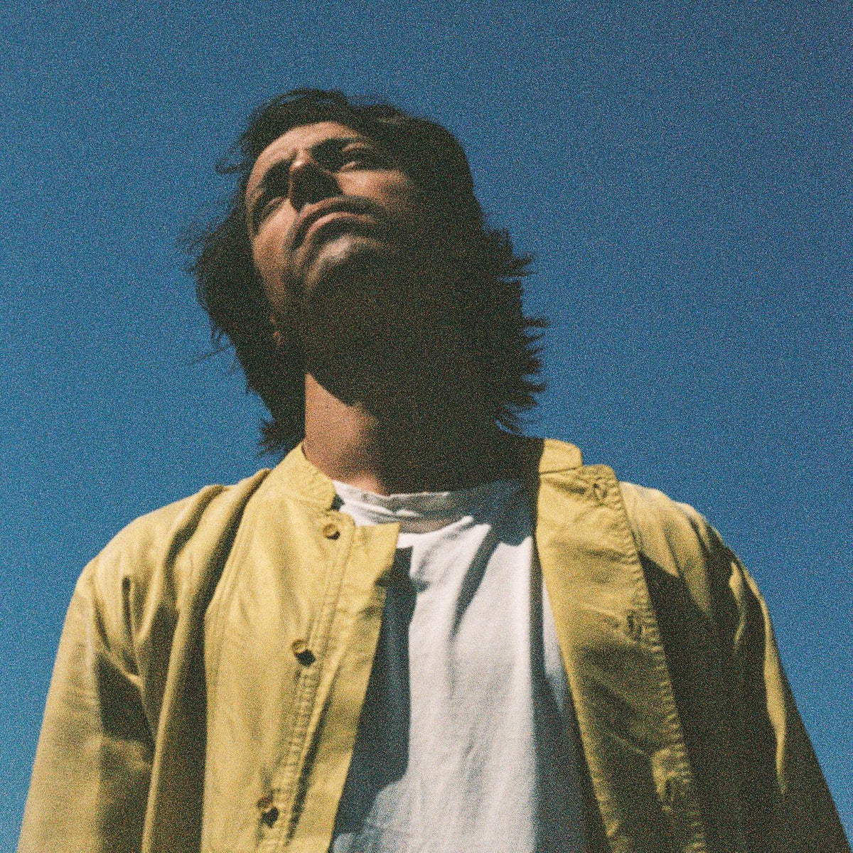 Le vert et le bleu - Front Cover