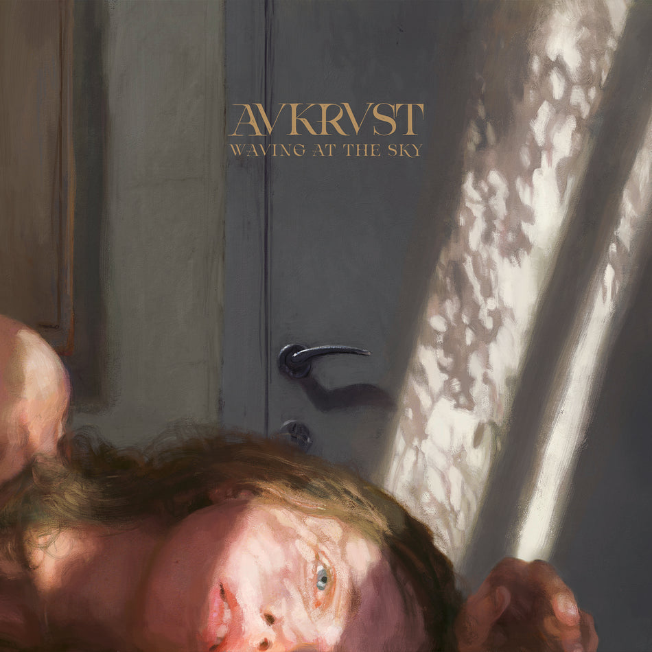 Waving at the Sky - Front Cover