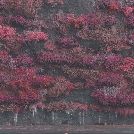 Even In Arcadia - Front Cover