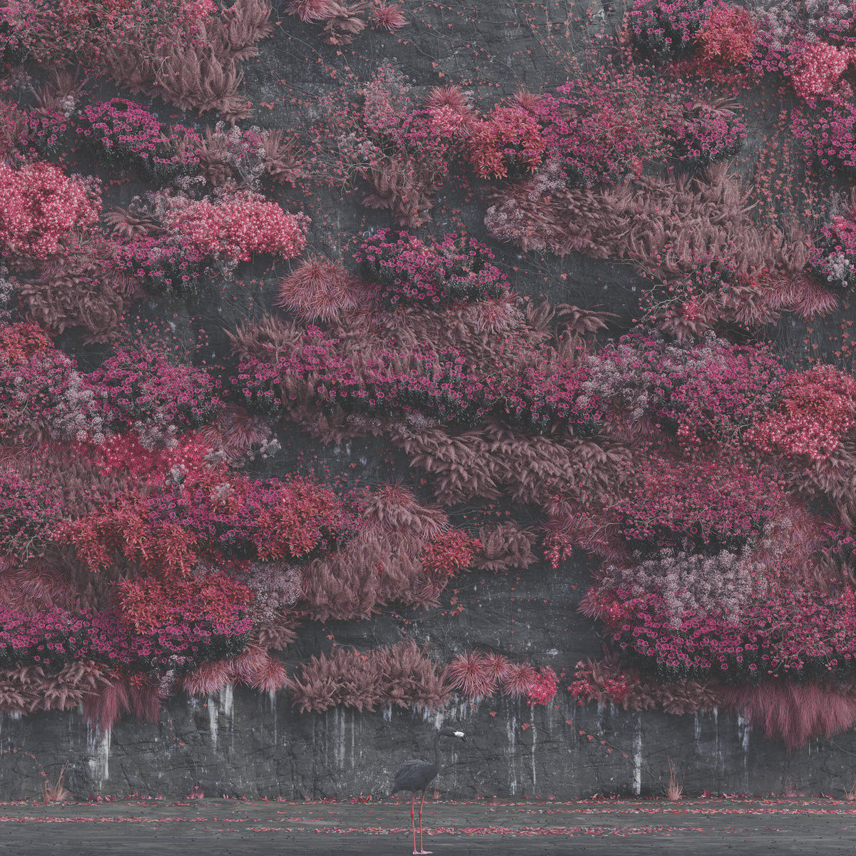 Even In Arcadia - Front Cover