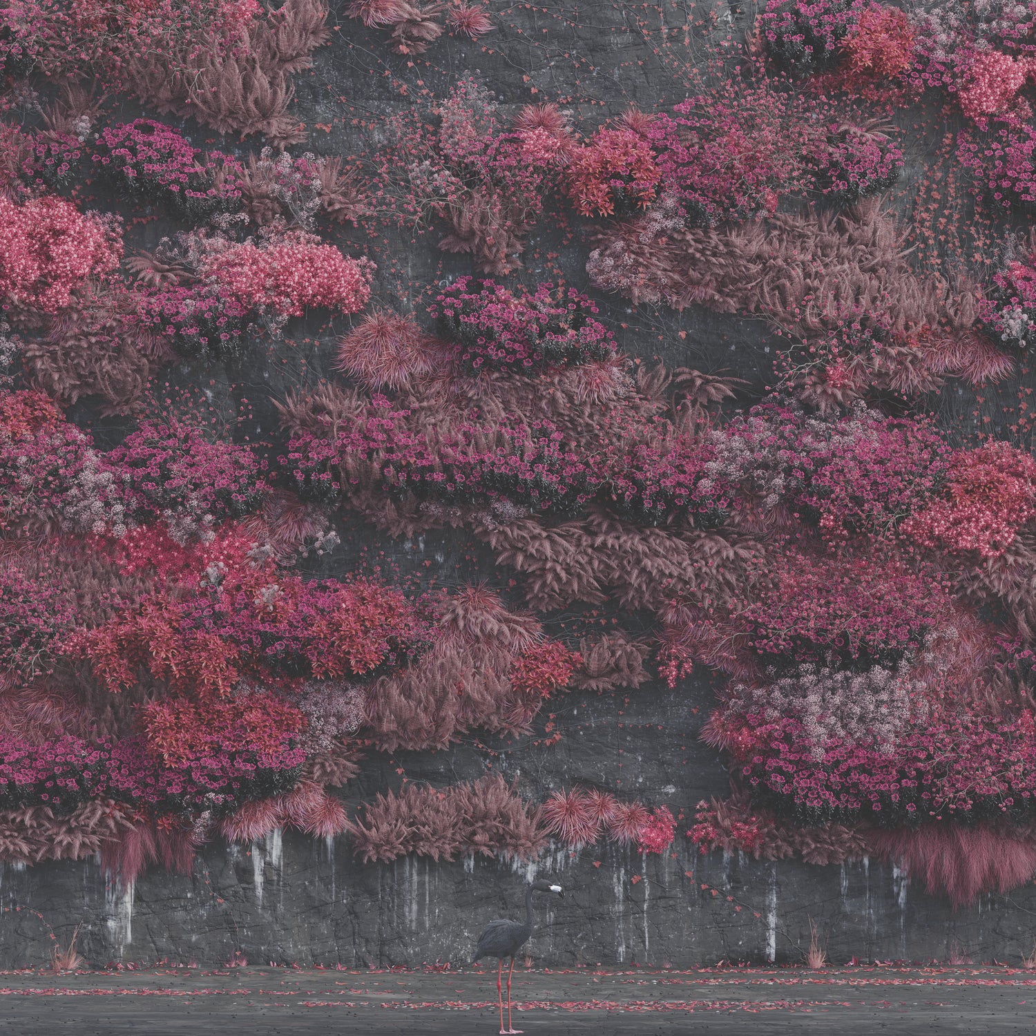 Even In Arcadia - Front Cover