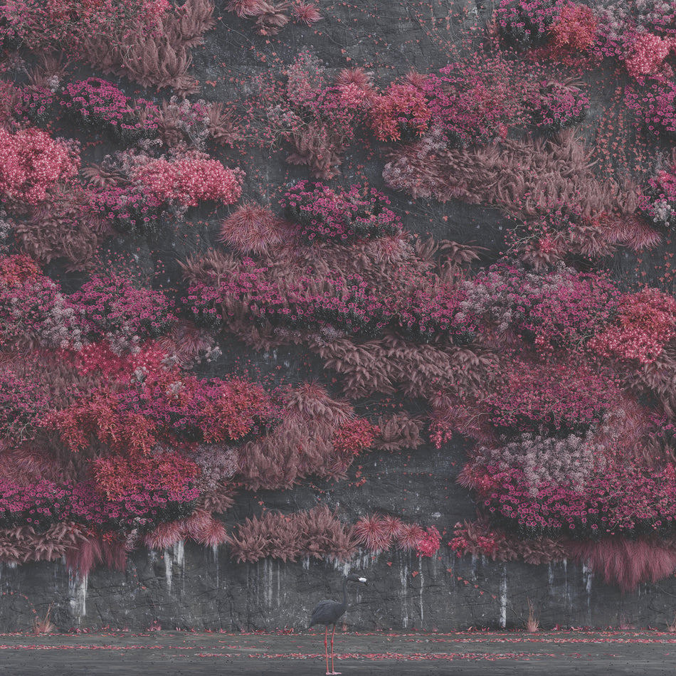 Even In Arcadia - Front Cover