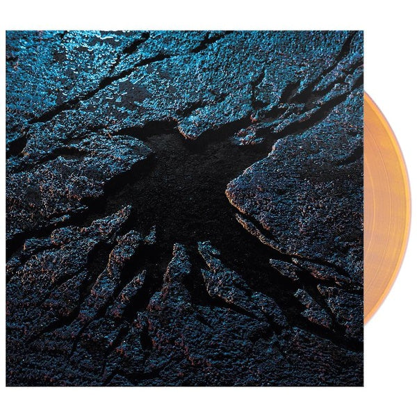 Drôle d'oiseau - Front Cover