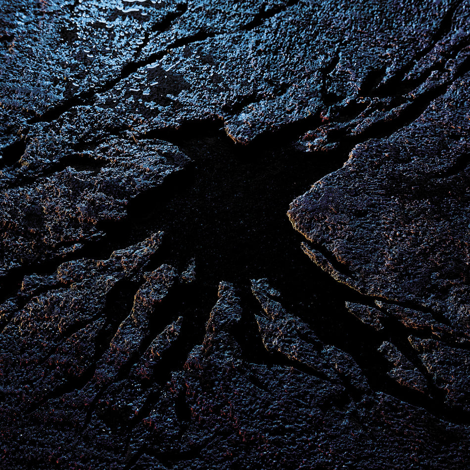 Drôle d'oiseau - Front Cover